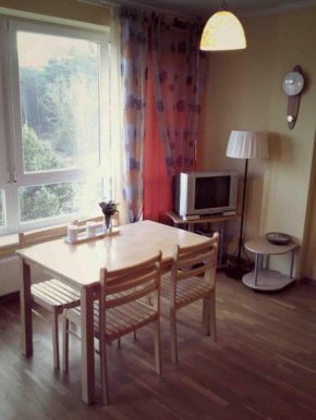 New and cozy apartment in Druskininkai